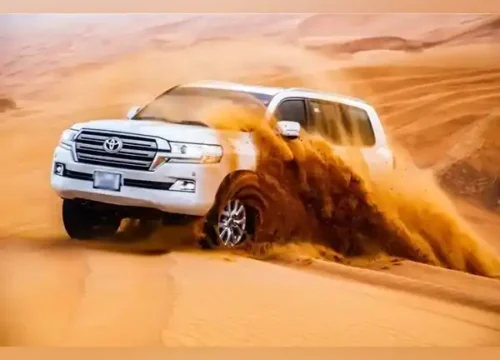 Morning Desert Safari