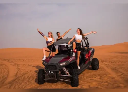 Desert Dune Buggies & Evening Safari Combo