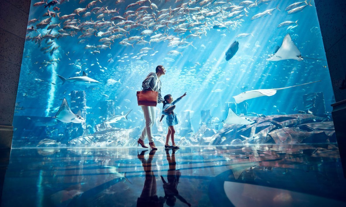 Atlantis Lost Chambers Aquarium