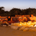 Experience the magic of the desert at night, where the sky sparkles with stars, the air cools, and the vast landscape transforms.