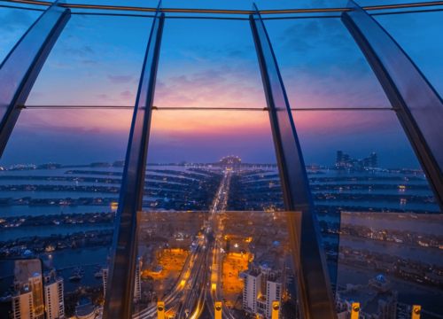 THE VIEW AT THE PALM